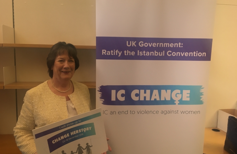 Supporting framework to combat violence against women and girls