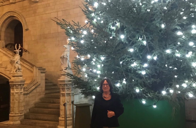 Pauline Latham with Westminster Hall Christmas tree