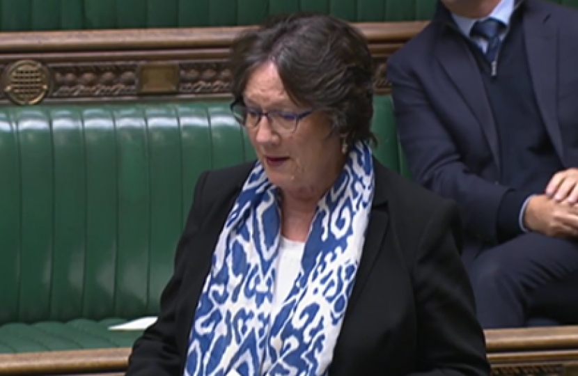 Pauline Latham OBE MP speaking in the House of Commons