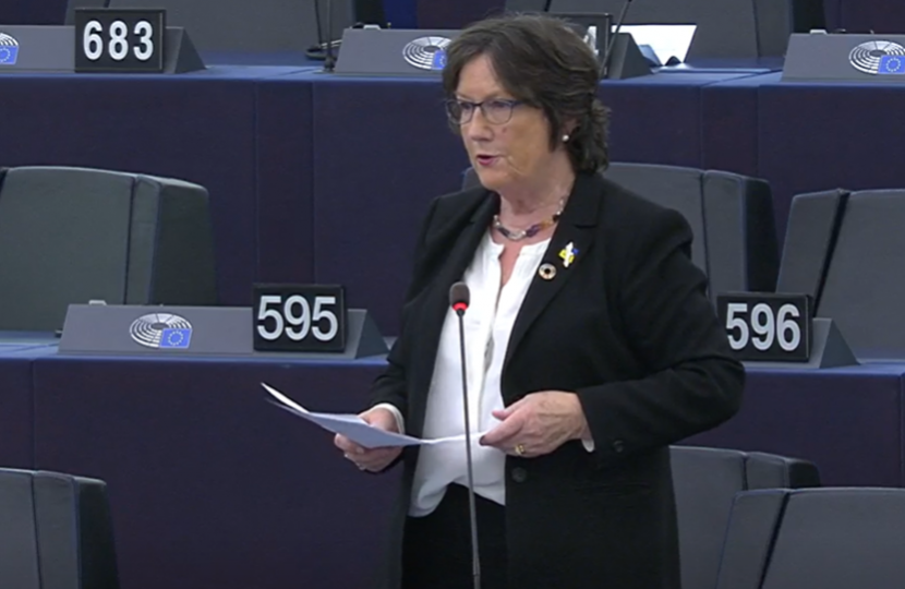 Pauline speaks at the Council of Europe
