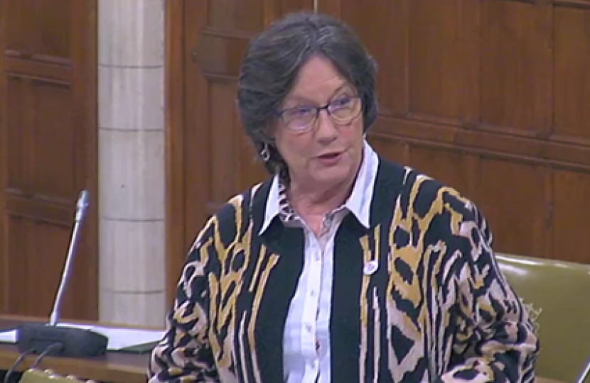 Pauline speaks in Westminster Hall