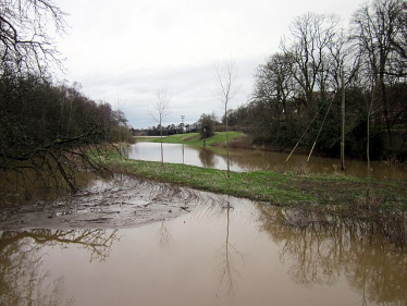 An area flooded with grass and trees