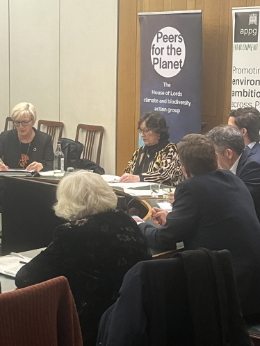 Pauline Latham OBE MP chairing biomass Q&A