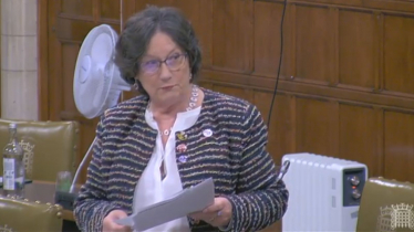 Pauline Latham OBE MP speaking in House of Commons