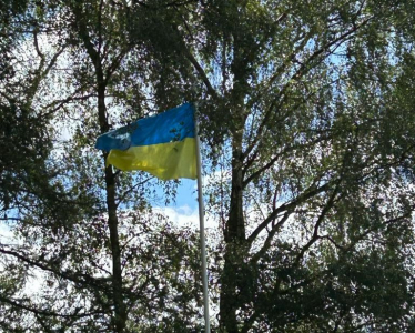 A Ukrainian flag flying within trees